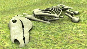 3D model decomposition cow skeleton