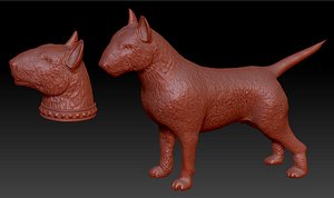 3D body bull terrier head