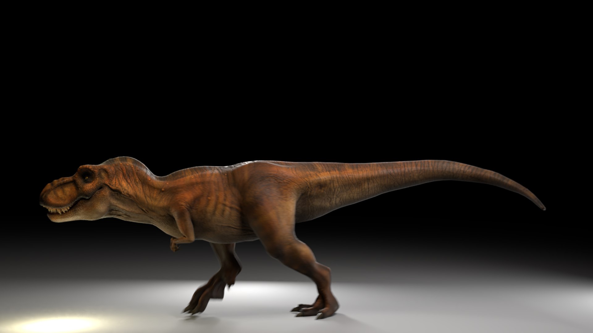3D Tyrannosaurus Rex Animations Model - TurboSquid 1261942
