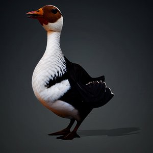 Duck-A5 3D model