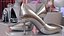 Sapatos prateados