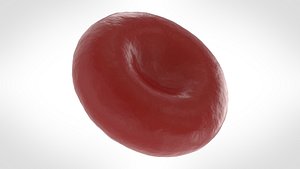 red blood cell 3D model