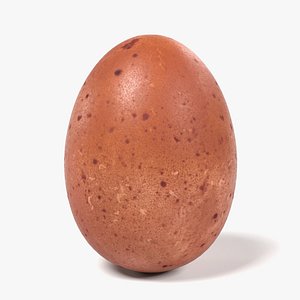 egg 3d model