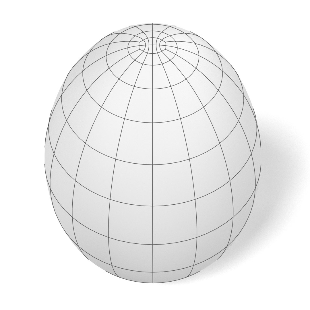 egg 3d model