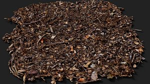 forest ground patch debris pt1 detail PBR photogrammetry 3D