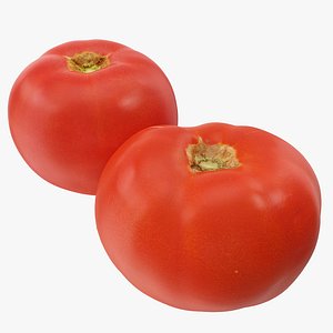 tomatoes 03-04 hi polys 3D model