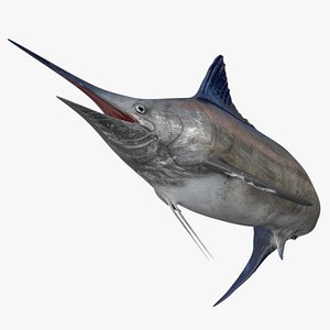 Marlin Rigged L1592