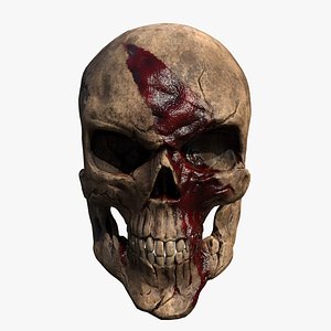 3D Skulls with blood  BUNDLE model