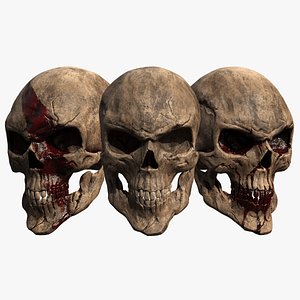 Skull and blood  BUNDLE