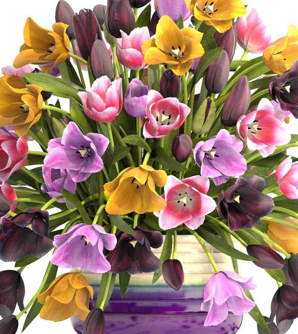 Bouquet Tulips 3D Model - TurboSquid 1270366