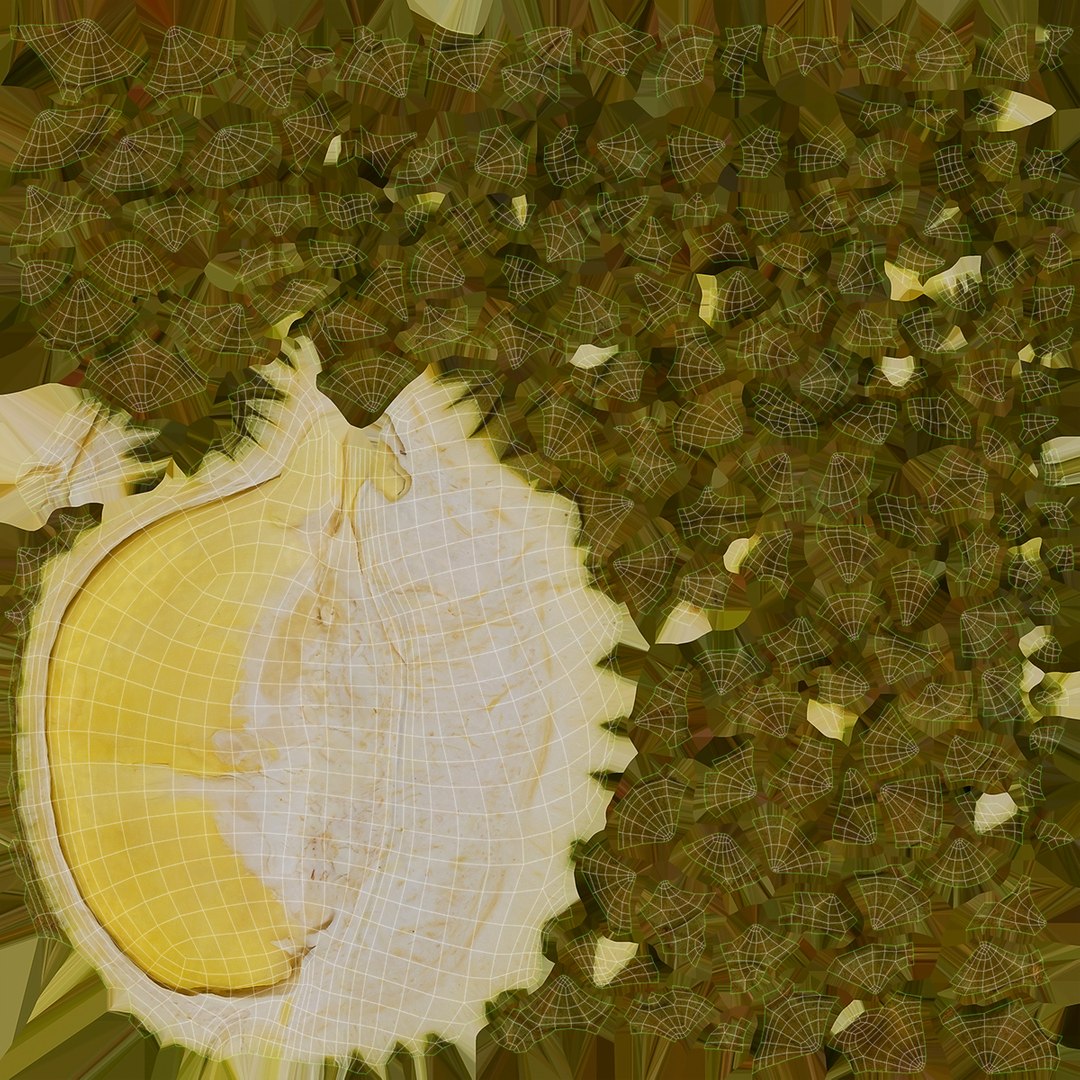 3D Fruit Slice Collection 4 model https://p.turbosquid.com/ts-thumb/UM/QjZhxg/tS/durianslice07_rr_51/jpg/1627535382/1920x1080/fit_q87/4b34806232ff6fa5722642932c7cee76e198ed57/durianslice07_rr_51.jpg