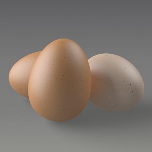 egg