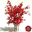 Ilex verticillata (Red Winterberry)