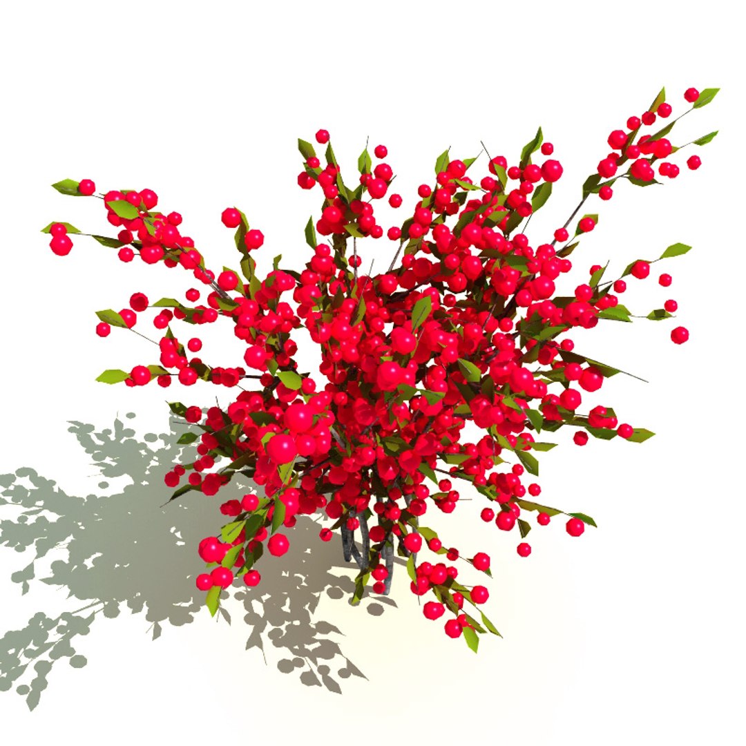 3d model ilex verticillata red winterberry https://p.turbosquid.com/ts-thumb/UM/iyouVH/khxXPnyG/ilex_verticillata_red_sprite_1/jpg/1230918413/1920x1080/fit_q87/d2dfcd0411ccc4d889dd1c6c63c9bc3521901650/ilex_verticillata_red_sprite_1.jpg