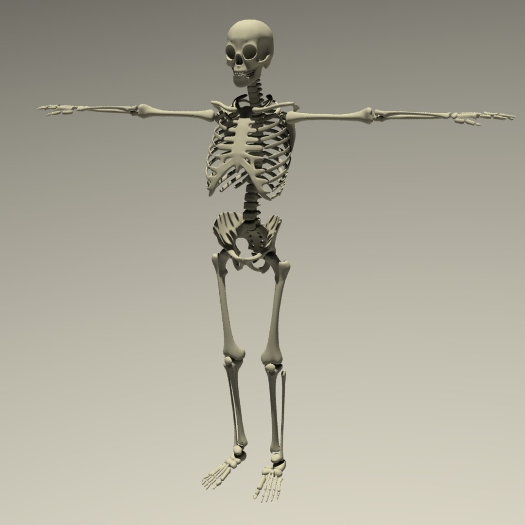 Walking Skeleton Animations Fbx