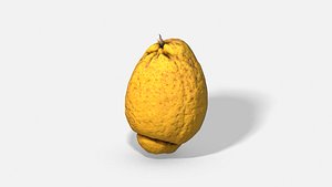 fruit citron - photoscanned model