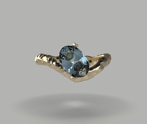 Hammered Ring 3D
