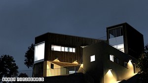 Whale Beach House