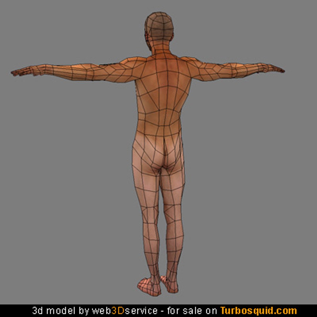 Polygonal Nude Male 3d Model