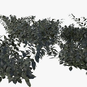 3D bush model