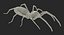 solifugae camel spider 3D