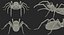 solifugae camel spider 3D