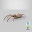 solifugae camel spider 3D
