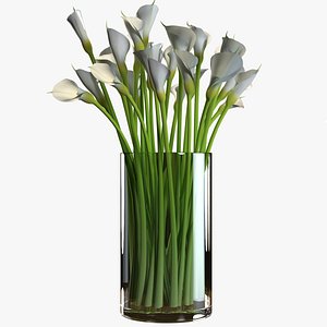 callas 3d max