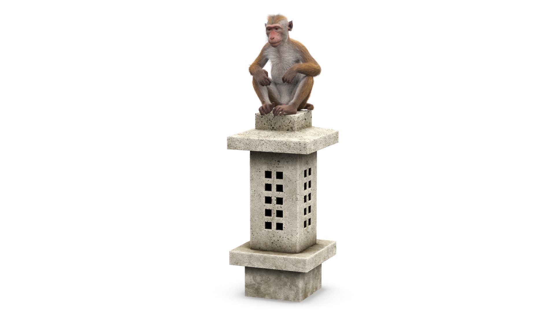 Brown Macaque Sitting on Stone Lantern Fur for Maya 3D model preview