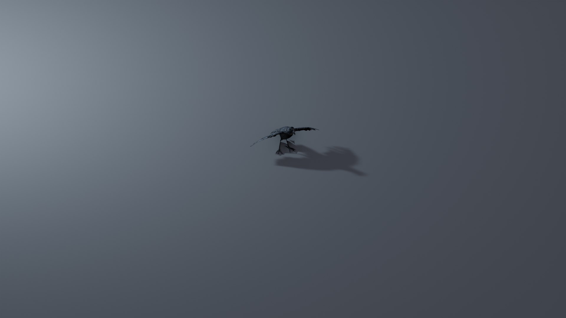 Photorealistic Crow - Rigged model - TurboSquid 2061357