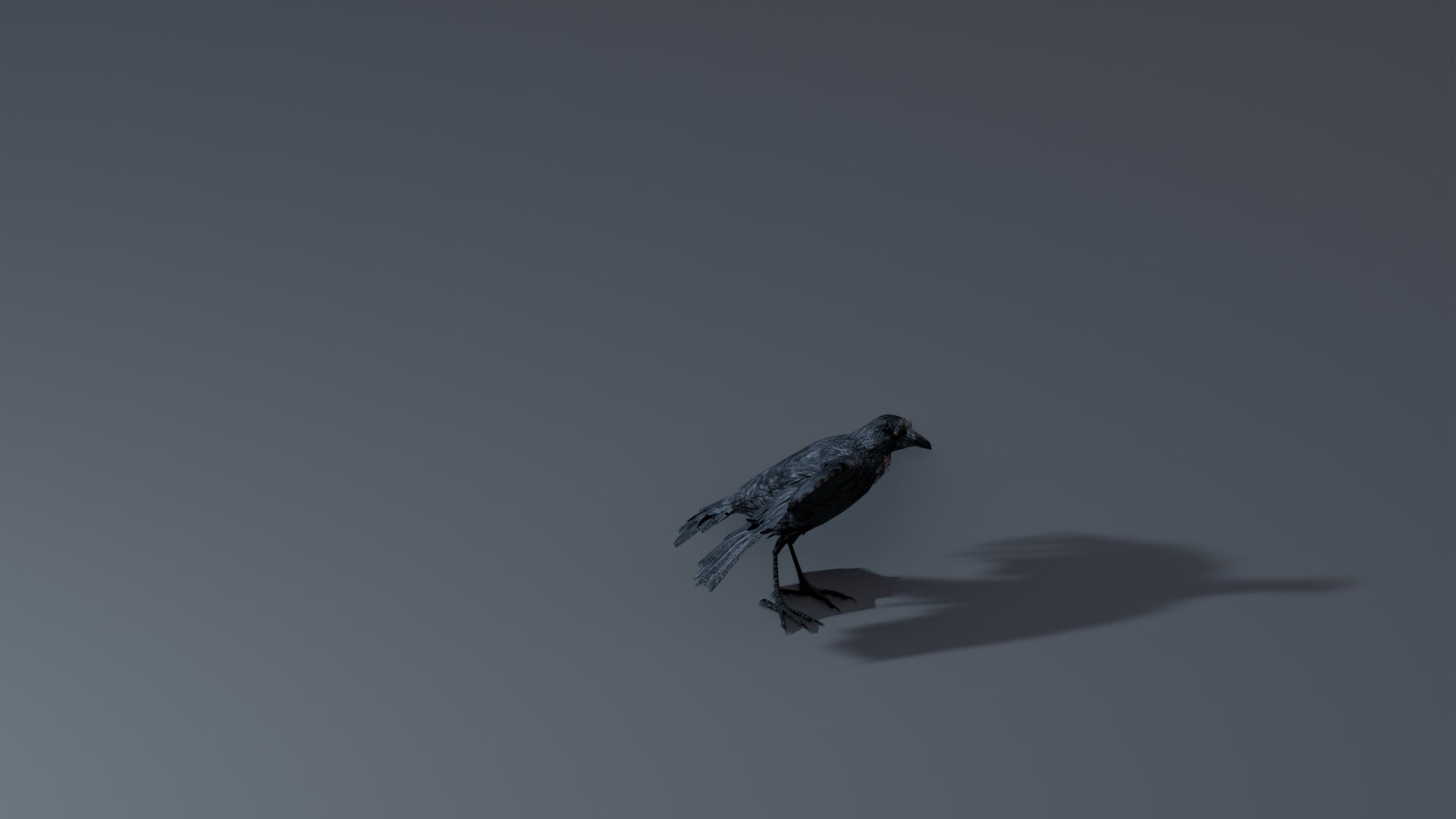 Photorealistic Crow - Rigged model - TurboSquid 2061357