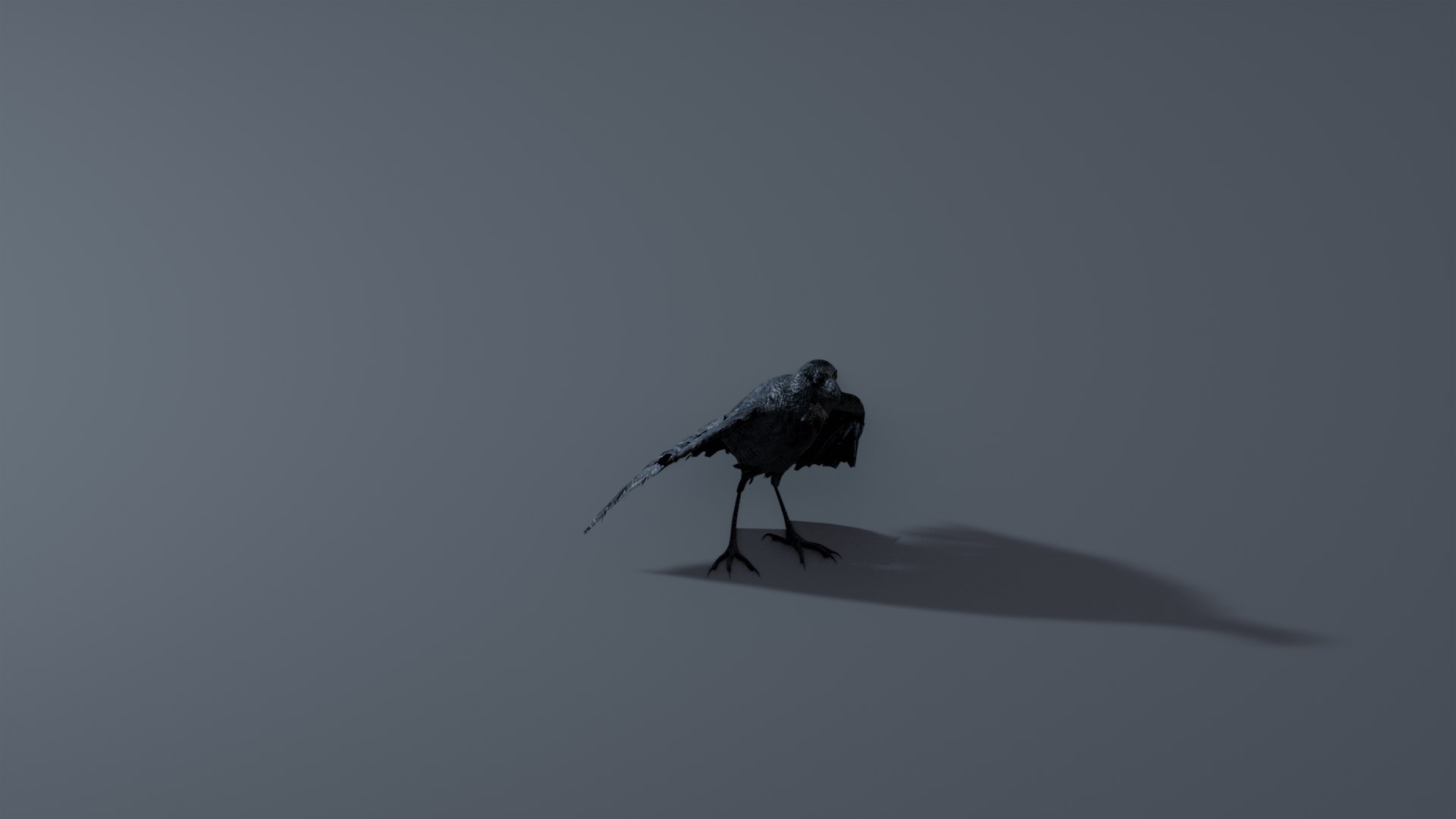 Photorealistic Crow - Rigged model - TurboSquid 2061357