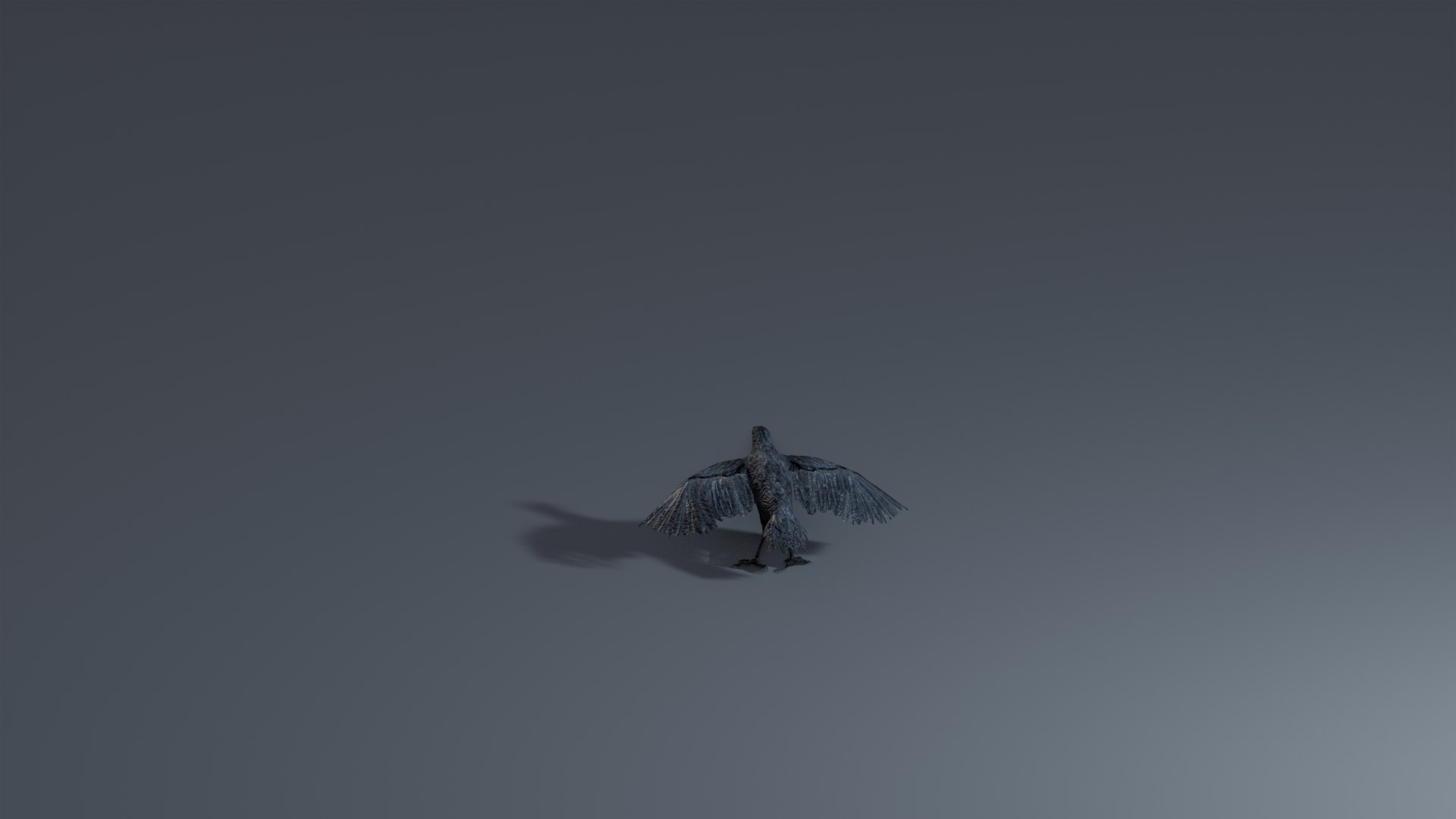 Photorealistic Crow - Rigged model - TurboSquid 2061357