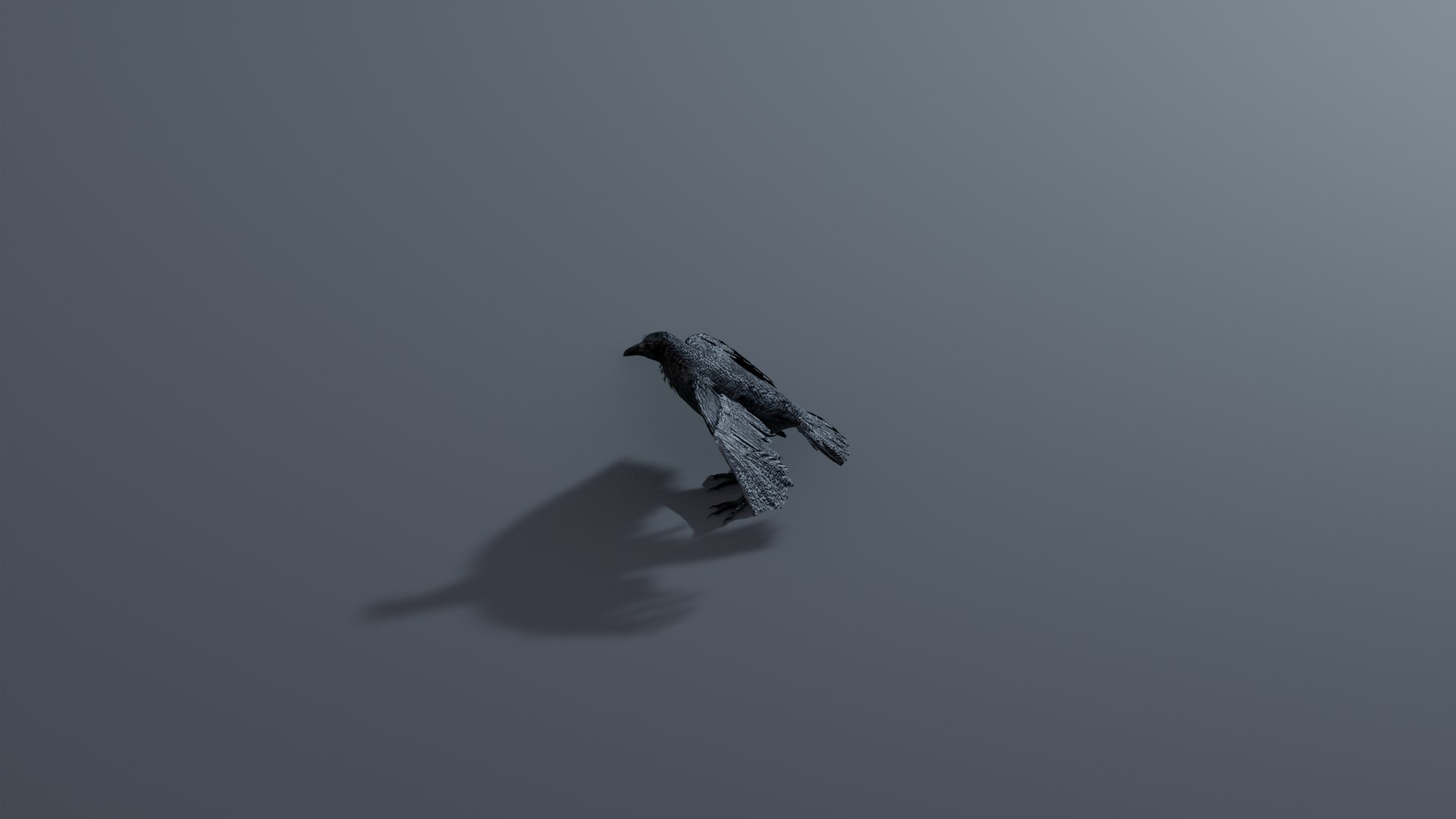 Photorealistic Crow - Rigged model - TurboSquid 2061357