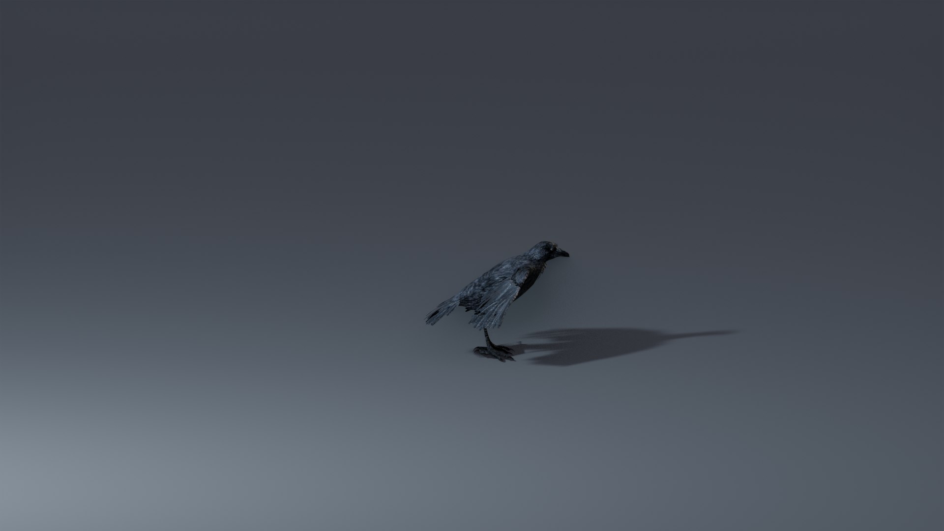 Photorealistic Crow - Rigged model - TurboSquid 2061357