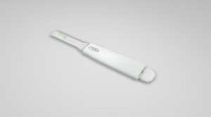 Pregnancy