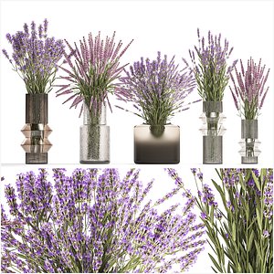 3D Set of bouquets of wild flowers vase lavender sage 327 model