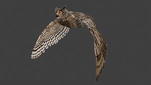 Pharaoh eagle owl