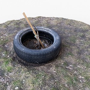 3D Photorealistic 3D scan of a tire planter for a tree saplin model
