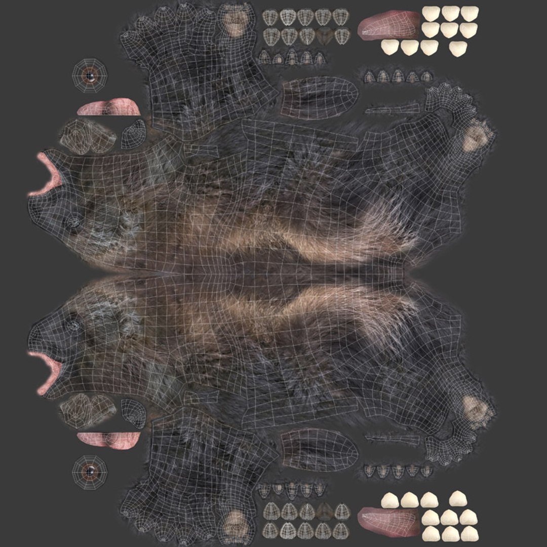 3D wolverine mammal fauna - TurboSquid 1402379