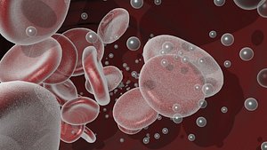 3D Animated Blood Vessels Segment