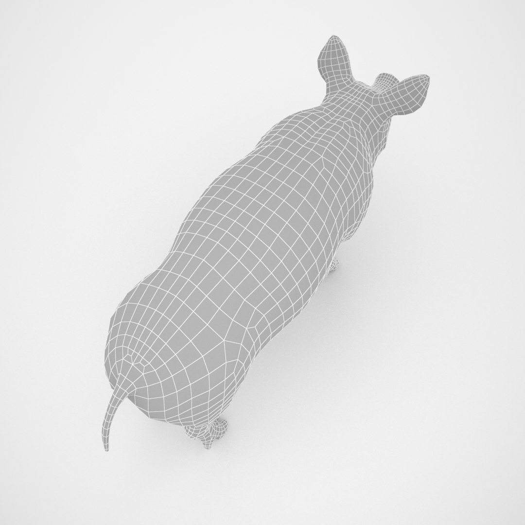 Female Pig 3D - TurboSquid 1269361