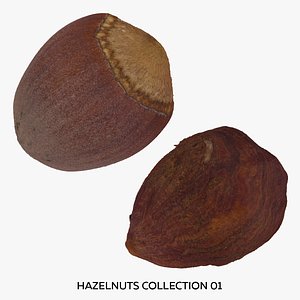 3D Hazelnuts Collection 01 - 2 models RAW Scans model