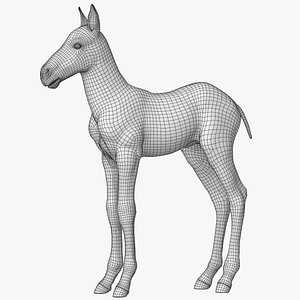 Horse Foal Lowpoly