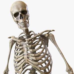 Skeleton 2.0