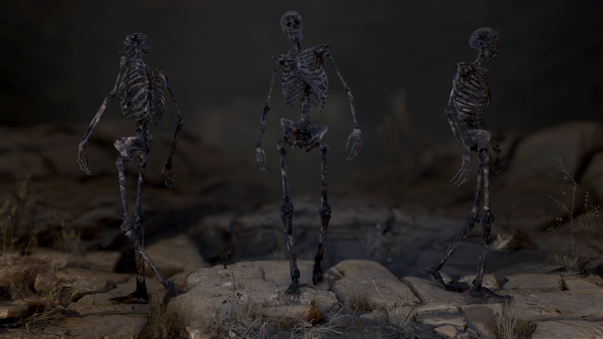 rigged skeleton model https://p.turbosquid.com/ts-thumb/UO/95vppI/gvGpdC4g/1/png/1578354212/1920x1080/turn_fit_q99/d8e347ee0c6635520c6ed57b7719c3ade5d1b34a/1-1.jpg