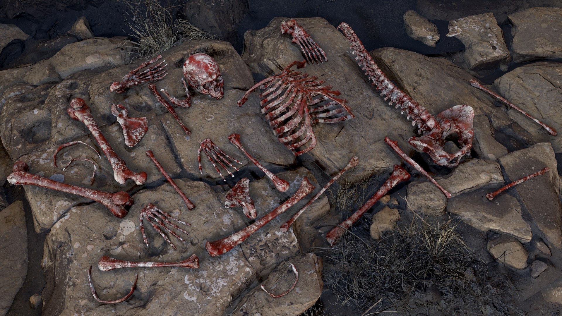 rigged skeleton model https://p.turbosquid.com/ts-thumb/UO/95vppI/rWhe8K9Y/human_skeleton_screen_15/png/1577517471/1920x1080/fit_q87/ea04c9fe0ae29ac6f0650f09e320d36d47a9431a/human_skeleton_screen_15.jpg