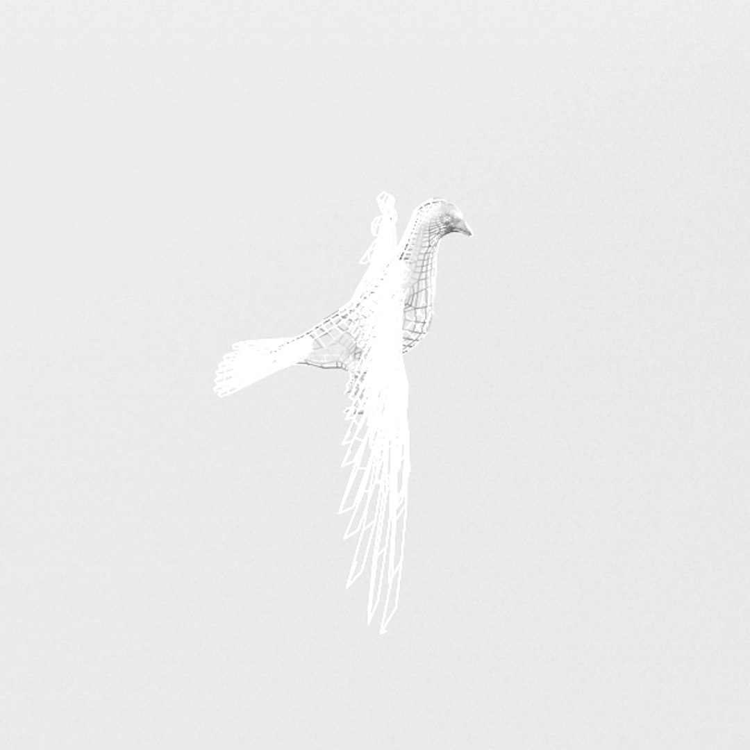 Dove Model - TurboSquid 1334550