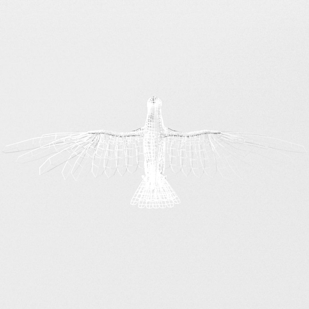 Dove Model - TurboSquid 1334550