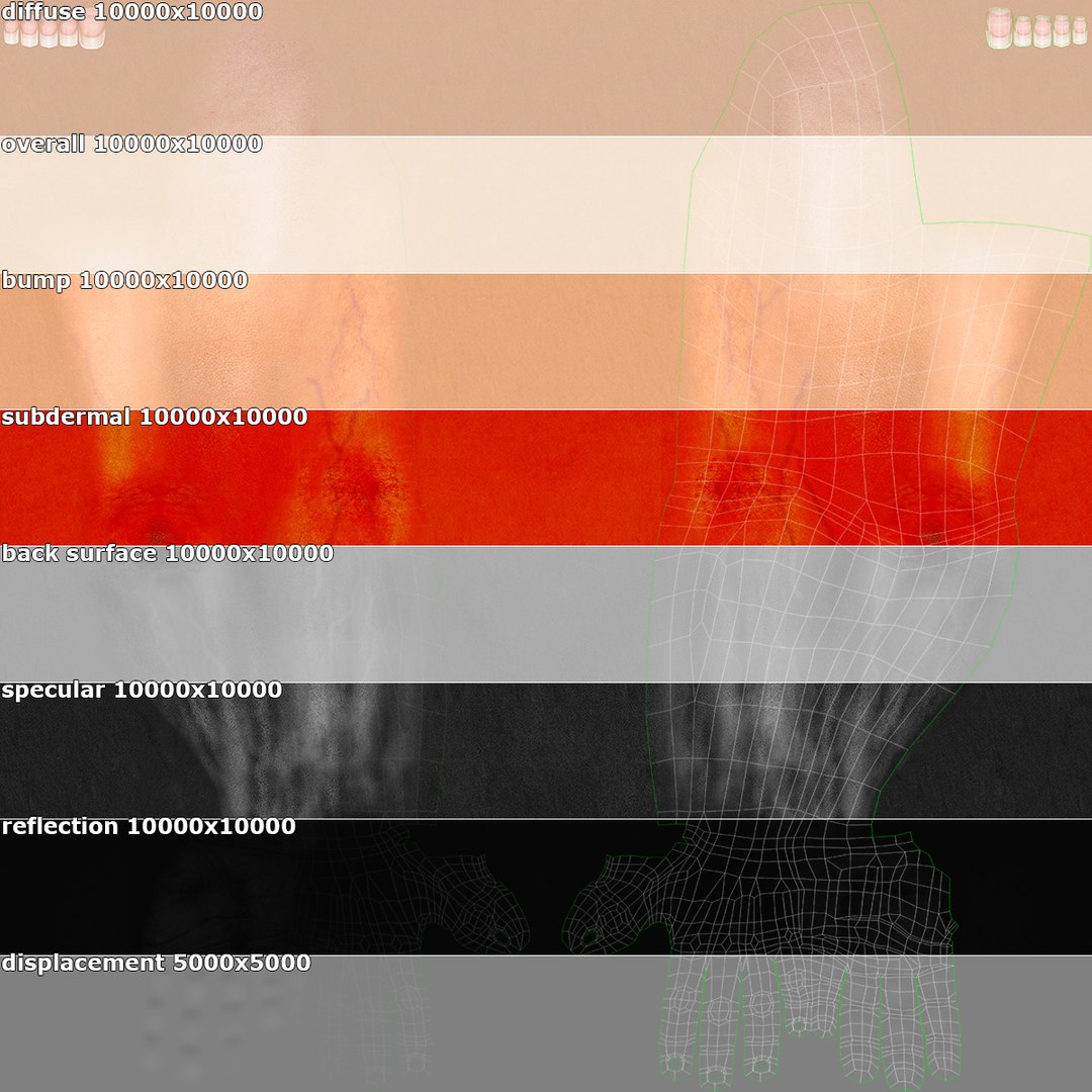 3ds max female arms https://p.turbosquid.com/ts-thumb/UO/CGYoJC/OT3INHzM/armsf_maps_info/jpg/1403040806/1920x1080/fit_q87/447ce7959256727120a8fd0258b2b319c47c0b5e/armsf_maps_info.jpg